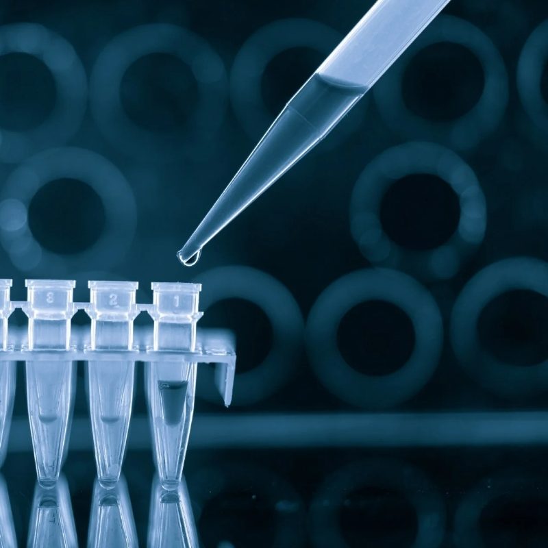Pipette Tips